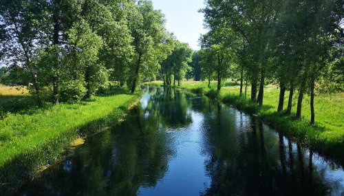 Haus Martha - Foto 4