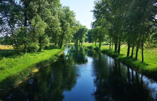 Haus Martha - Foto 4