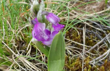 Gîtes du Chêne Vert - Foto 19