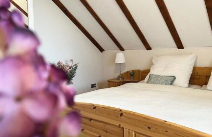 Galeriewohnung mit Blick in den Schwarzwald - Foto 9