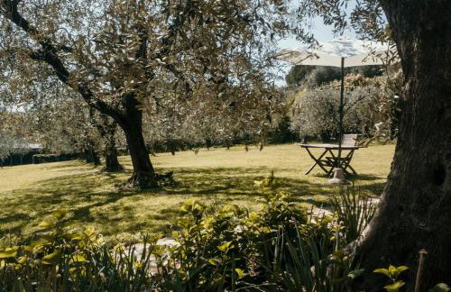 AGRITURISMO IL CARDO - Foto 12