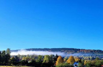 Domki w Bieszczadach - Foto 8