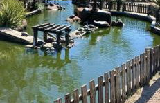 Refugio dos Sonhos a apenas 100m do mar - Foto 9