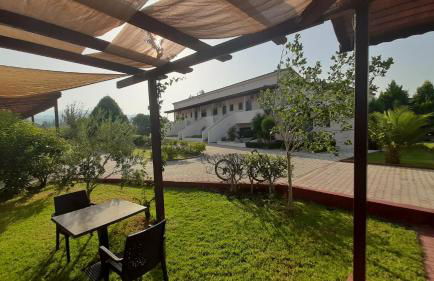 Ktima Xiliadou - Foto 14