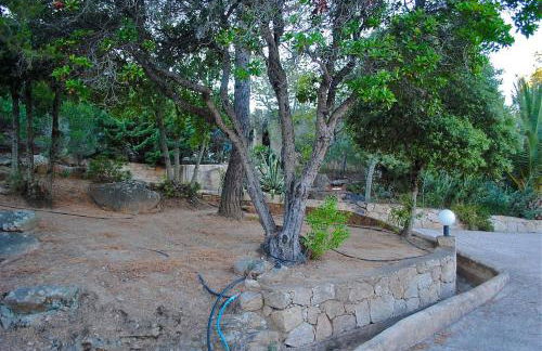 Villa Cala Rossa 45M2 4-5 pers Rondinara Bonifacio - Foto 16