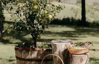 ZEM casolare - Foto 21