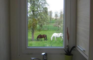 Tiny House Natur-Traum Zur Burg Eltz - Foto 39