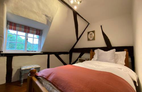 Dairy Farm - Foto 19