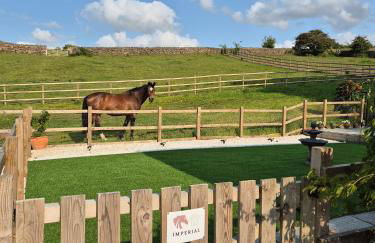 Luxury Peak District stay set in private land with horses and country Pub - Dog Friendly - Foto 14