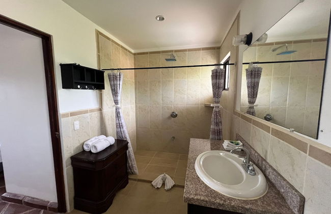 Tropical Gardens - Foto 69