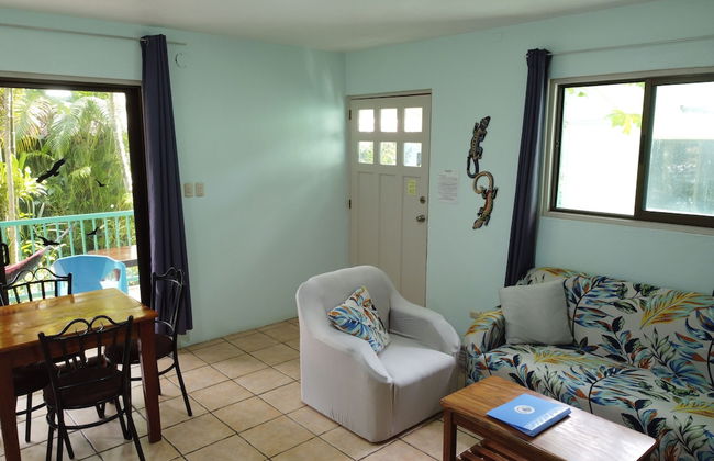 Bohemian Monkey - Foto 12