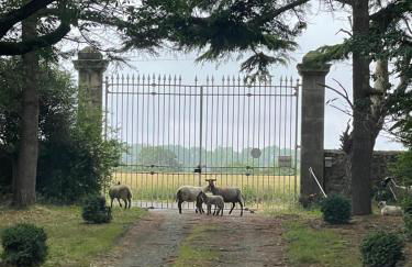 Château Doré les Tours - Appartement Renard - Proche Puy du Fou - Photo 27