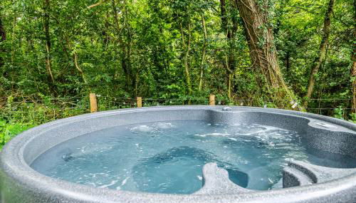 Bodior Lodge - Foto 3