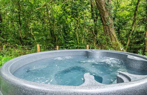 Bodior Lodge - Photo 3