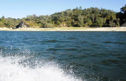 Monte da Tojeirinha - Foto 43