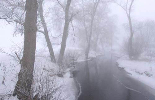 Ferienwohnung Waldstraße - Foto 51