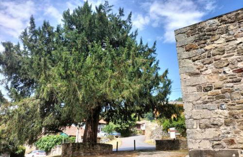 CASA SANTIBAÑEZ DE LA FUENTE - Foto 36