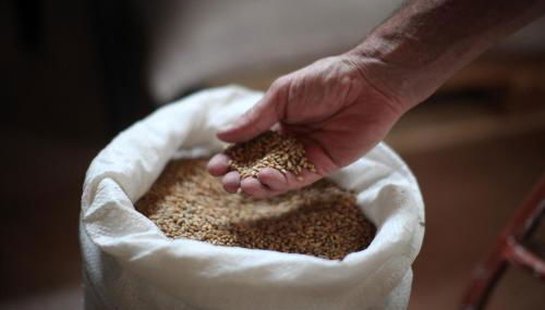 Settecentoalberi Agriturismo - Photo 3