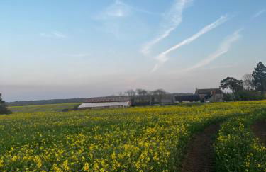 Lavender Cottage - Foto 28