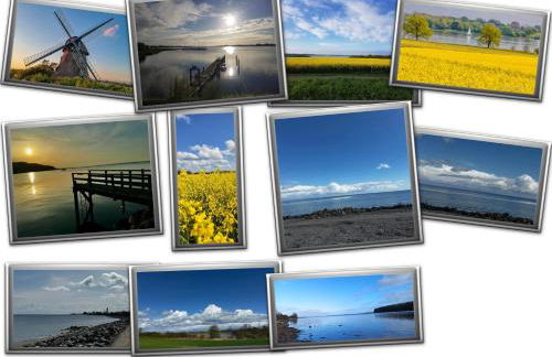 Fischerstern - Foto 14