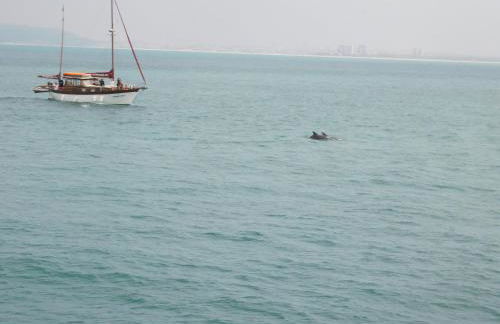 Casa Pausa Sesimbra Holiday Home - Foto 32