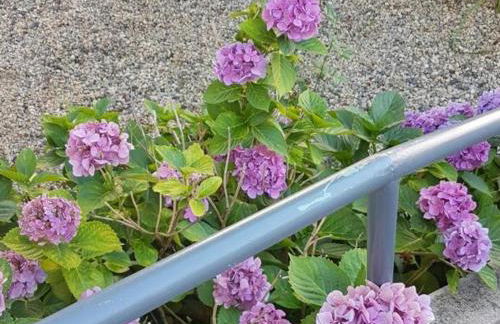 Maison rénovée à Moulins avec jardin et véranda - FR-1-489-469 - Foto 35