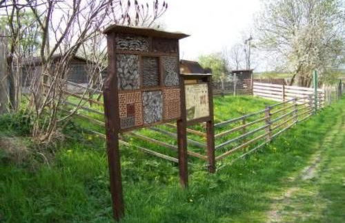 Holiday Home Alleenwiesen by Interhome - Photo 15