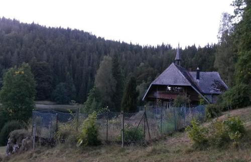 Forsthauswohnung im Schwarzwald - Foto 29