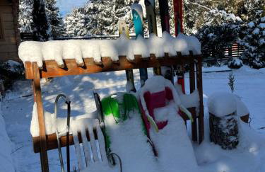 Borowikowe Zacisze drewniane domy z kominkami - Foto 80