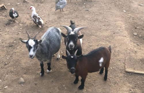 Monte de Stª Margarida - Foto 34