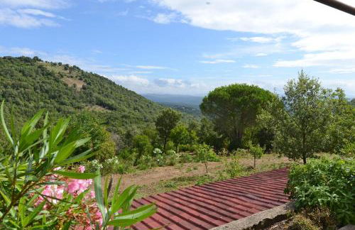 Poggio Ferrone - Foto 18