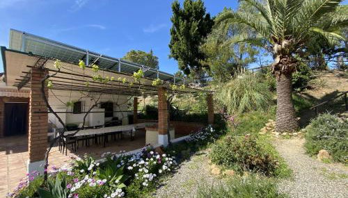 LAS PALMERAS - Foto 4, Garden