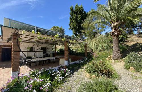 LAS PALMERAS - Foto 4