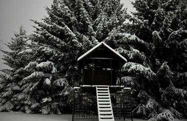 Noclegi Zielona Gęś - Foto 27