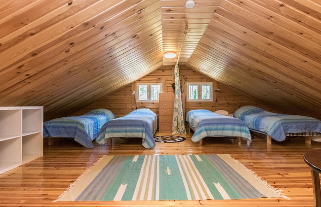 Pajulintu - Photo 21