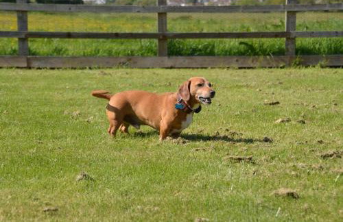 1 Bed in Taunton oc-74145 - Foto 12