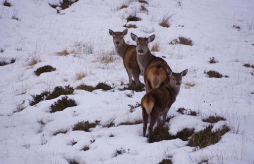 West Horizon holiday cottage - Foto 80