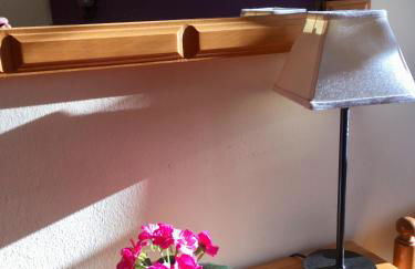 Apartaments La Bonaigua - Foto 30