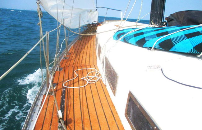 Pesca de veleiro privado pela ilha El Frontón - Foto 3