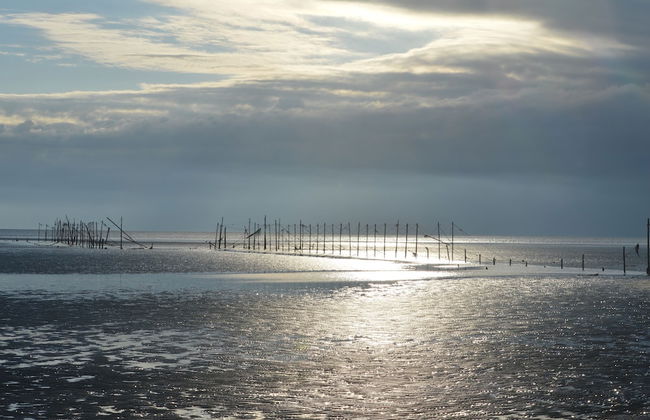 Clouded Yellow - Beautiful Modern Lodge, Kippford - Photo 34