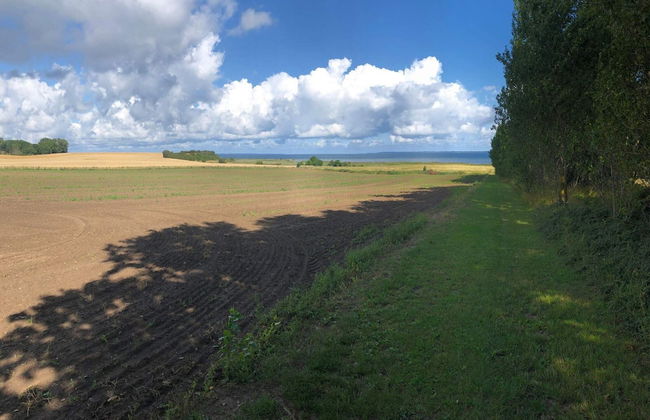 4 Person Holiday Home in Jaegerspris - Foto 11