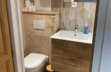 Micro maison Lyon 8/ Parking / Terrain de pétanque - Photo 10