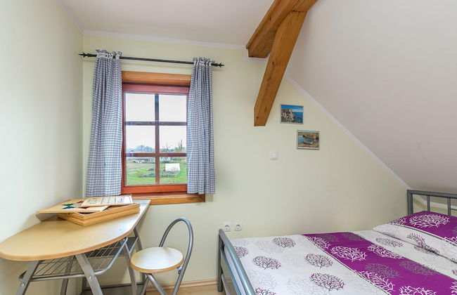 Forge Of Happiness - Foto 7