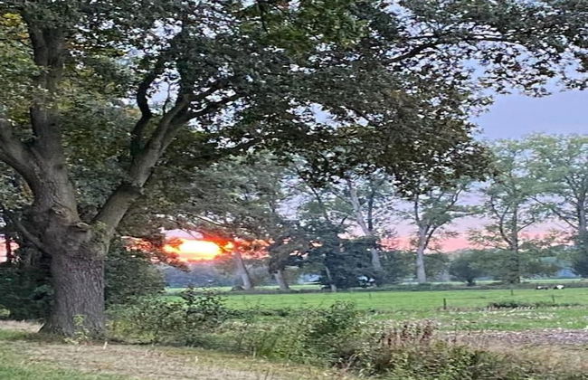 Modern Chalet With Nice Sliding Doors Near Lochem - Foto 32