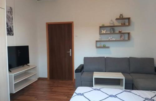 Mediterranean paradise on the island of Sestrunj - Photo 8