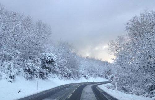 Orlegy Casa Rural - Foto 16