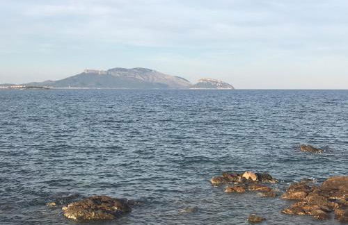 Bados Mare - Foto 53