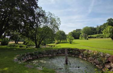 Ferienhaus Rustika - Foto 57