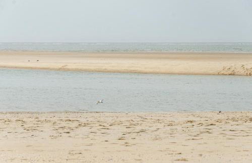 Strandhus Uiterst-hörn Treibholz - Photo 9