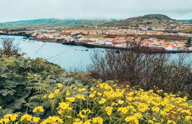 Porto Pim Bay - Foto 146